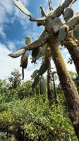 &copy; Franziska Bergmann (Eberhardt TRAVEL)