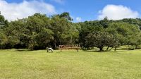 Schildkrötenfarm Rancho Primicias, Santa Cruz &ndash; &copy; Mareike Schmidt (Eberhardt TRAVEL)