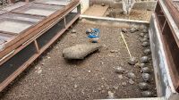 Kindergarten, Galapagos-Riesenschildkröte, Charles Darwin Station, Santa Cruz &ndash; &copy; Mareike Schmidt (Eberhardt TRAVEL)