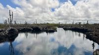 Los Tuneles, Isabela &ndash; &copy; Mareike Schmidt (Eberhardt TRAVEL)