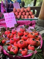 &copy; Diana Mendel (Eberhardt TRAVEL)