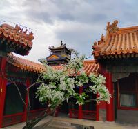 Verbotene Stadt, Peking &ndash; &copy; Monika Cortese (Eberhardt TRAVEL)