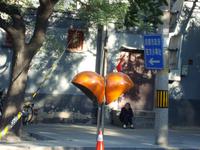 &copy; 6097 (Eberhardt TRAVEL)