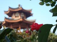 &copy; 6097 (Eberhardt TRAVEL)