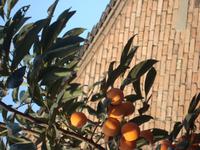 &copy; 6097 (Eberhardt TRAVEL)
