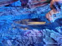 &copy; 6097 (Eberhardt TRAVEL)