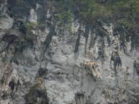&copy; 6097 (Eberhardt TRAVEL)