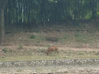 &copy; 6097 (Eberhardt TRAVEL)