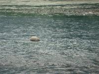 &copy; 6097 (Eberhardt TRAVEL)