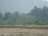 &copy; 6097 (Eberhardt TRAVEL)