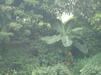 &copy; 6097 (Eberhardt TRAVEL)