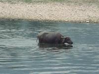 &copy; 6097 (Eberhardt TRAVEL)
