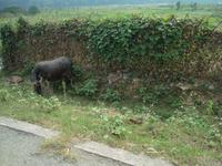 &copy; 6097 (Eberhardt TRAVEL)