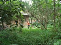 &copy; 6097 (Eberhardt TRAVEL)