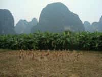 &copy; 6097 (Eberhardt TRAVEL)