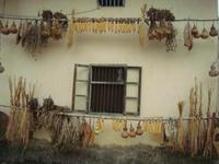 &copy; 6097 (Eberhardt TRAVEL)