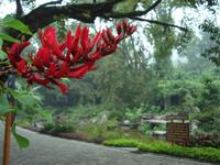 &copy; 6097 (Eberhardt TRAVEL)