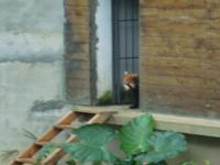 &copy; 6097 (Eberhardt TRAVEL)
