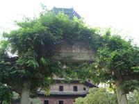 &copy; 6097 (Eberhardt TRAVEL)