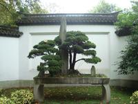 &copy; 6097 (Eberhardt TRAVEL)