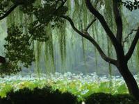 &copy; 6097 (Eberhardt TRAVEL)