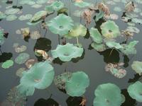 &copy; 6097 (Eberhardt TRAVEL)