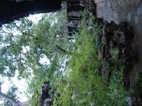 &copy; 6097 (Eberhardt TRAVEL)