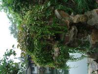 &copy; 6097 (Eberhardt TRAVEL)