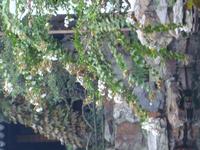 &copy; 6097 (Eberhardt TRAVEL)