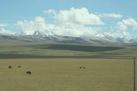 Tibet aus dem Zug &ndash; &copy; Annett Müller (Eberhardt TRAVEL)