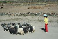 &copy; Annett Müller (Eberhardt TRAVEL)