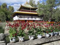 Norbulingka &ndash; &copy; Annett Müller (Eberhardt TRAVEL)