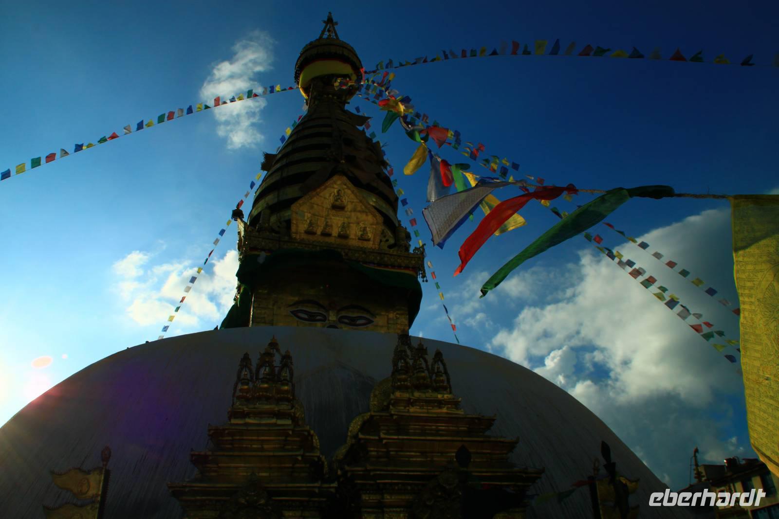 359 Affentempel &ndash; &copy; Denise Hartmann (Eberhardt TRAVEL)