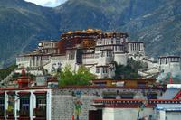 167 Potala-Palast &ndash; &copy; Denise Hartmann (Eberhardt TRAVEL)