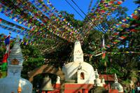 346 Affentempel &ndash; &copy; Denise Hartmann (Eberhardt TRAVEL)