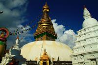 352 Affentempel &ndash; &copy; Denise Hartmann (Eberhardt TRAVEL)