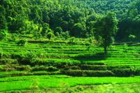 452 Auf dem Weg nach Pokhara &ndash; &copy; Denise Hartmann (Eberhardt TRAVEL)