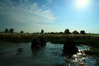 537 Im Chitwan Nationalpark &ndash; &copy; Denise Hartmann (Eberhardt TRAVEL)
