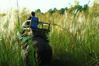 539 Im Chitwan Nationalpark &ndash; &copy; Denise Hartmann (Eberhardt TRAVEL)