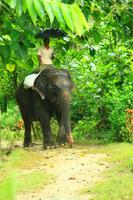 573 Im Chitwan Nationalpark &ndash; &copy; Denise Hartmann (Eberhardt TRAVEL)