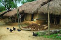 604 Im Chitwan Nationalpark &ndash; &copy; Denise Hartmann (Eberhardt TRAVEL)
