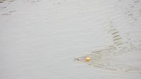 1198_Schwimmer im Yangtze-Fluss &ndash; &copy; Nadine Schulz (Eberhardt TRAVEL)