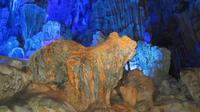 1853_Schilfrohrflötentropfsteinhöhle in Guilin - Löwe &ndash; &copy; Nadine Schulz (Eberhardt TRAVEL)