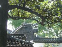 im Yu-Garten in Shanghai &ndash; &copy; Susann Kleinfeld (Eberhardt TRAVEL)