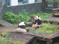 Guilin - Siebensterne-Park