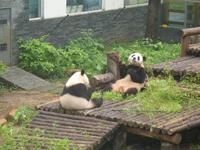 Guilin - Siebensterne-Park
