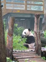 Guilin - Siebensterne-Park