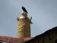 Ganden Kloster &ndash; &copy; Ralf Kuchenbecker (Eberhardt TRAVEL)
