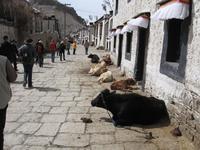 Gyantse &ndash; &copy; Ralf Kuchenbecker (Eberhardt TRAVEL)