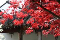 &copy; Astrid Kunath (Eberhardt TRAVEL)